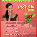 banner-dominios-maria-net-navidad